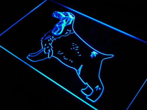 English Cocker Dog Pet Shop Neon Light Sign